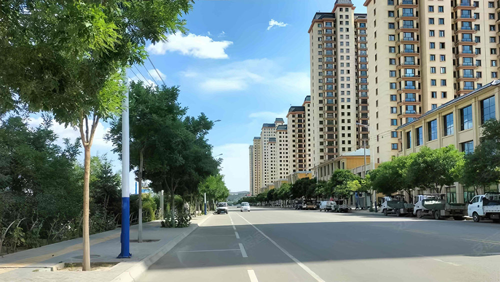 甘肃省定西市安定区项目